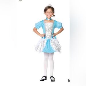 Cinderella costume size large